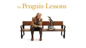 Lecciones de un pingüino — foto 9