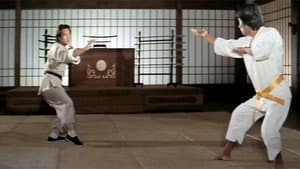 霍元甲 — foto 1