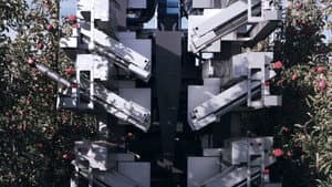 A Common Sequence — foto 3
