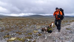 Monsen og nasjonalparkene — foto 4