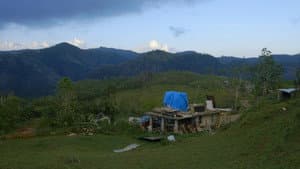Landfall — foto 3