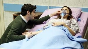 Episodio 26