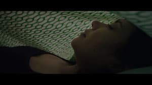Diários II - Tamara — foto 2