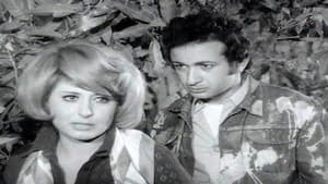 شيء من الحب — foto 2