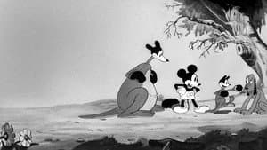 El canguro de Mickey — foto 3