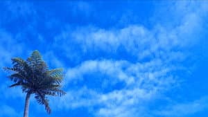 Sunburn — foto 1