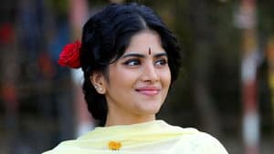 வடக்குப்பட்டி ராமசாமி — foto 5