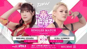 ぽかぽか春プロレス in 上野 — foto 5