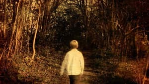 Porcupine Tree: Never Stop the Car on a Drive in the Dark — foto 3