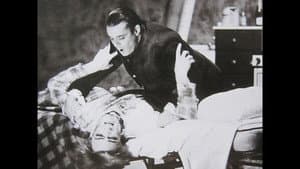 Extracurricular Activity Projective Reconstruction #1 (Domestic Scene) — foto 2
