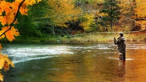 King Fishers: Battle Of The Nordics — foto 2