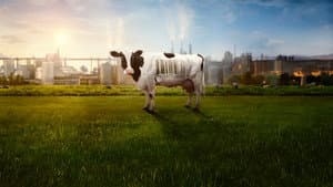 Food, Inc. 2 — foto 2