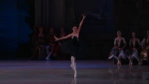 Swan Lake — foto 4
