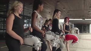 Hobbyhorse Revolution — foto 1