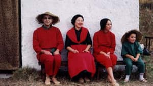 Un cuento chino — foto 1