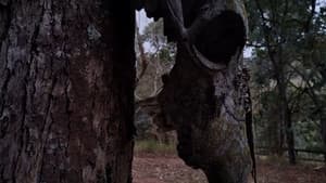 Morto-vivo — foto 1