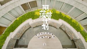 阿菠萝计划 — foto 1