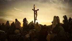 Yo conocí a Jesús — foto 1