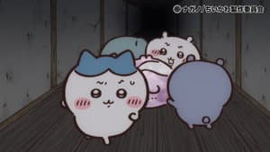 Episodio 296