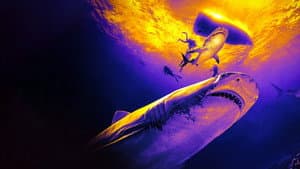 Shark Week 30 Años — foto 4