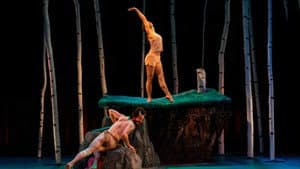 Enter the Faun — foto 1