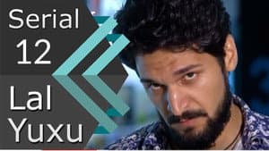 Episodio 12