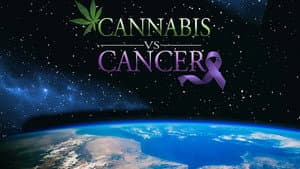 Cannabis vs. Cancer — foto 1