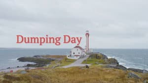 Dumping Day — foto 7