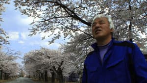 ナオトひとりっきり Alone in Fukushima — foto 1