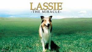 Lassie: The Miracle — foto 1