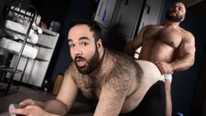 Bear Lovers — foto 1