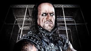 WWE Hell In A Cell 2010 — foto 1
