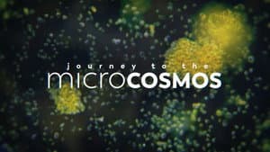 Journey to the Microcosmos — foto 2