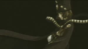 Boogiepop Phantom — foto 5