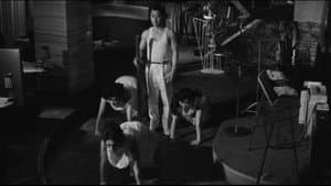強虫女と弱虫男 — foto 9