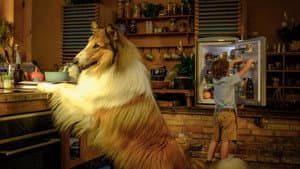 Lassie: Una nueva aventura — foto 6