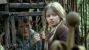 Hänsel und Gretel — foto 2