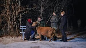 Episodio 8