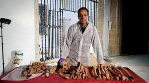 Colón ADN: su verdadero origen — foto 6