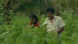 നമുക്കു പാർക്കാൻ മുന്തിരിത്തോപ്പുകൾ — foto 3