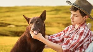 Red Dog: True Blue — foto 3