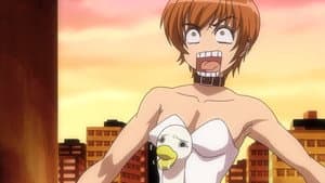 Episodio 18