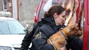 Philly Undercover — foto 2