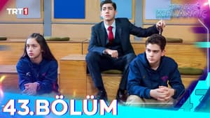 Episodio 17