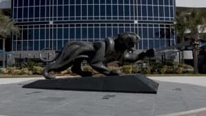 The Hunt — foto 1