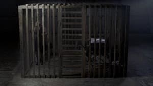 Cage — foto 1