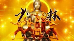 石少侠感觉好孤单 — foto 4