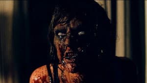 Wither - La cabaña de la muerte — foto 1