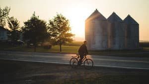 Une colonie — foto 2