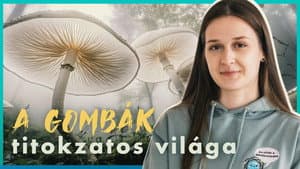 Episodio 10